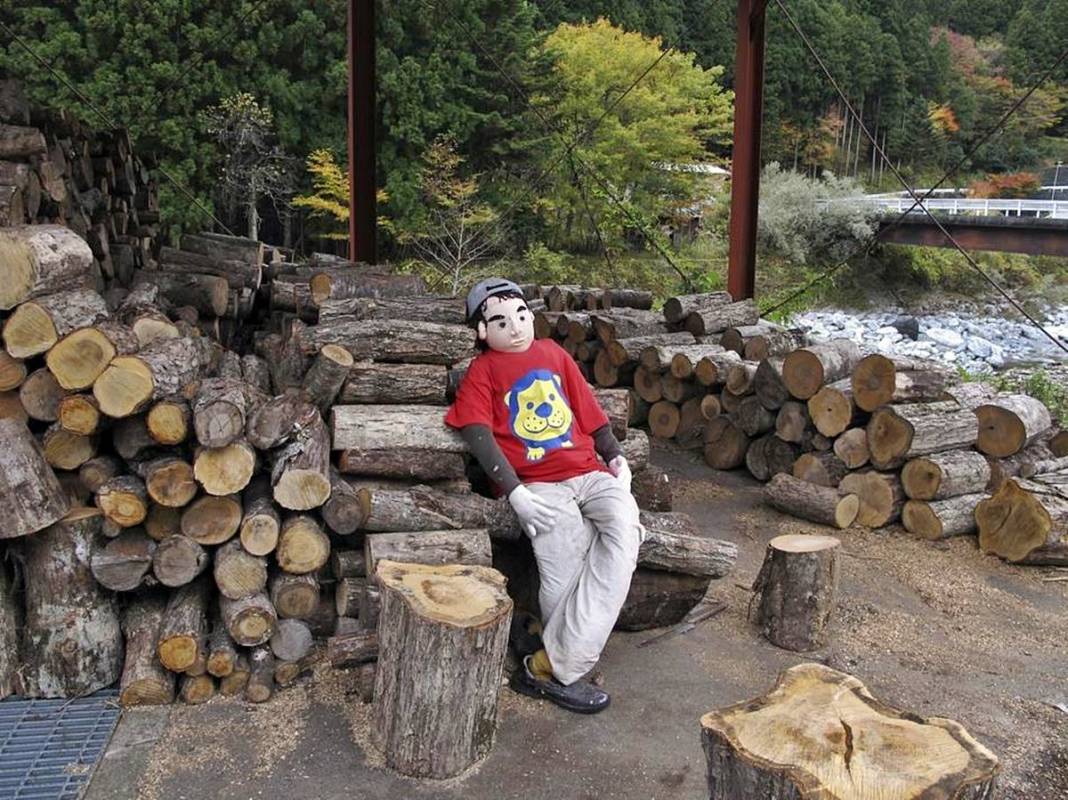 Bu köye gelenler gözlerine inanamıyor: Tüyler ürperten manzara! Hepsi yetişkin insan boyutlarında 32